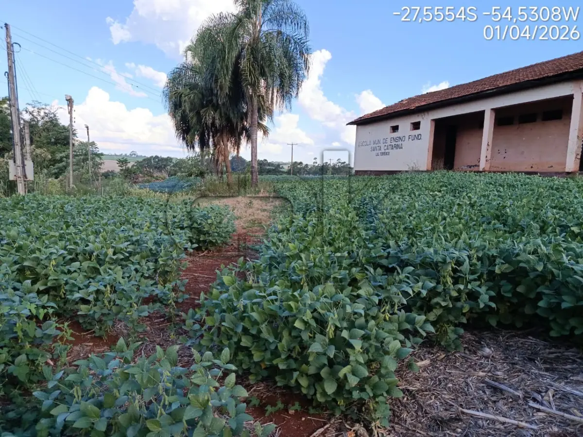 LOTE 039 - Imóvel: Fração do lote rural nº 25, 16ª secção, Matrícula nº 5678.  Área total: 0,5 ha (5.000 m²) conforme matrícula. Localização: Lajeado Terrêncio - Interior – Novo Machado/RS – E.M de Ensino  Fundamental Santa Catarina.