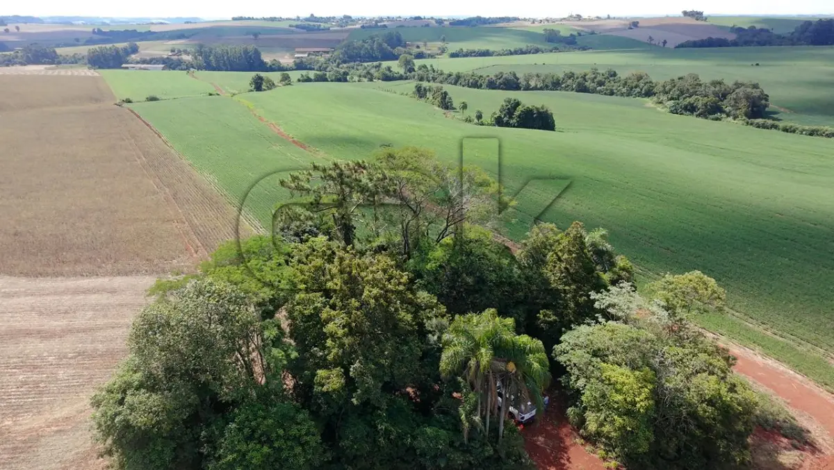 LOTE 038 - Imóvel: Fração do lote rural nº 24, 11ª secção, Matrícula nº 3048.  Área total: 1,0 hectares (10.000 m²) conforme matrícula. Localização: Lajeado Gateados - Interior – Novo Machado/RS – E.M de 1º G. Inc. São  Francisco de Assis