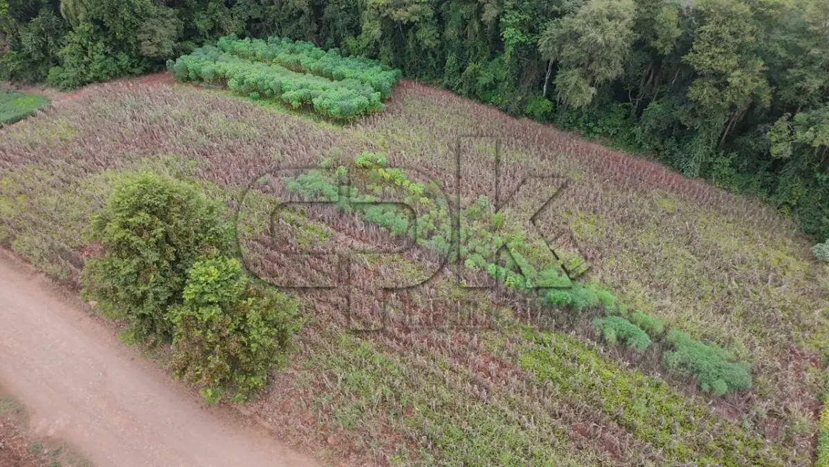 LOTE 034 - Imóvel: Fração do lote rural nº 38, 25ª secção, Matrícula nº 1679.  Área total: 0,3 hectares (3.000 m²) conforme matrícula. Localização: Barra do Machado - Interior – Novo Machado/RS – E.M General Bento  Gonçalves.
