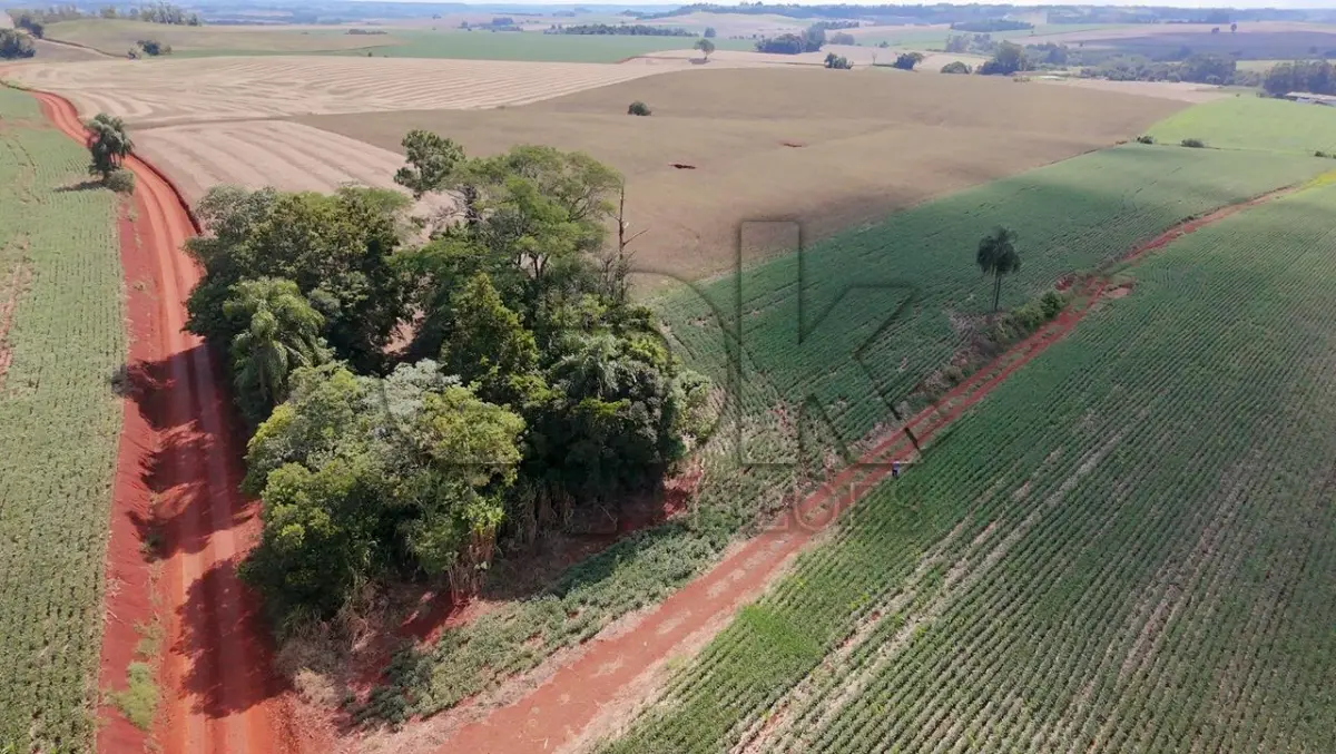 LOTE 038 - Imóvel: Fração do lote rural nº 24, 11ª secção, Matrícula nº 3048.  Área total: 1,0 hectares (10.000 m²) conforme matrícula. Localização: Lajeado Gateados - Interior – Novo Machado/RS – E.M de 1º G. Inc. São  Francisco de Assis