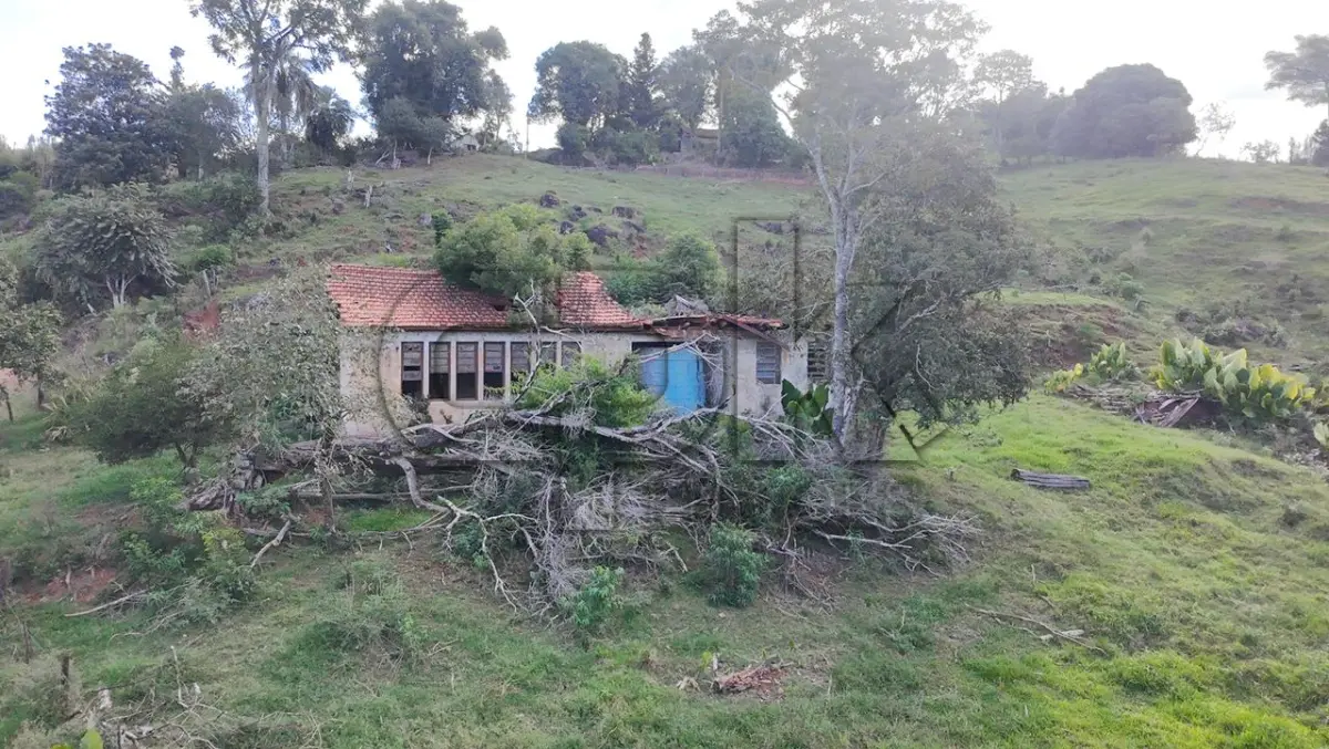 LOTE 036 - Imóvel: Fração do lote rural nº 79, 25ª secção, Matrícula nº 1677.  Área total: 0,5 hectares (5.000 m²) conforme matrícula.  Localização: Barra Fundinha - Interior – Novo Machado/RS – E.M de 1º G. Inc. N. Srª  dos Navegantes.