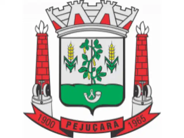 LEILÃO  PREFEITURA MUNICIPAL DE PEJUÇARA/RS