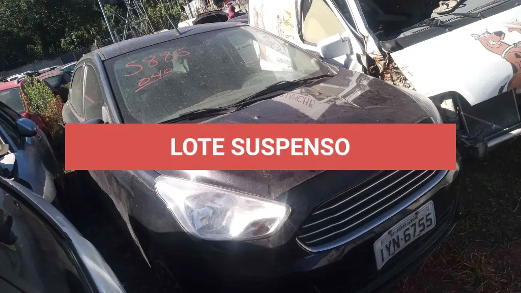LOTE 0276