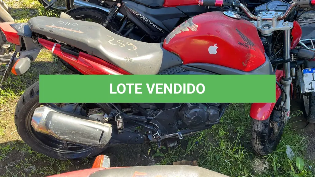LOTE 0259