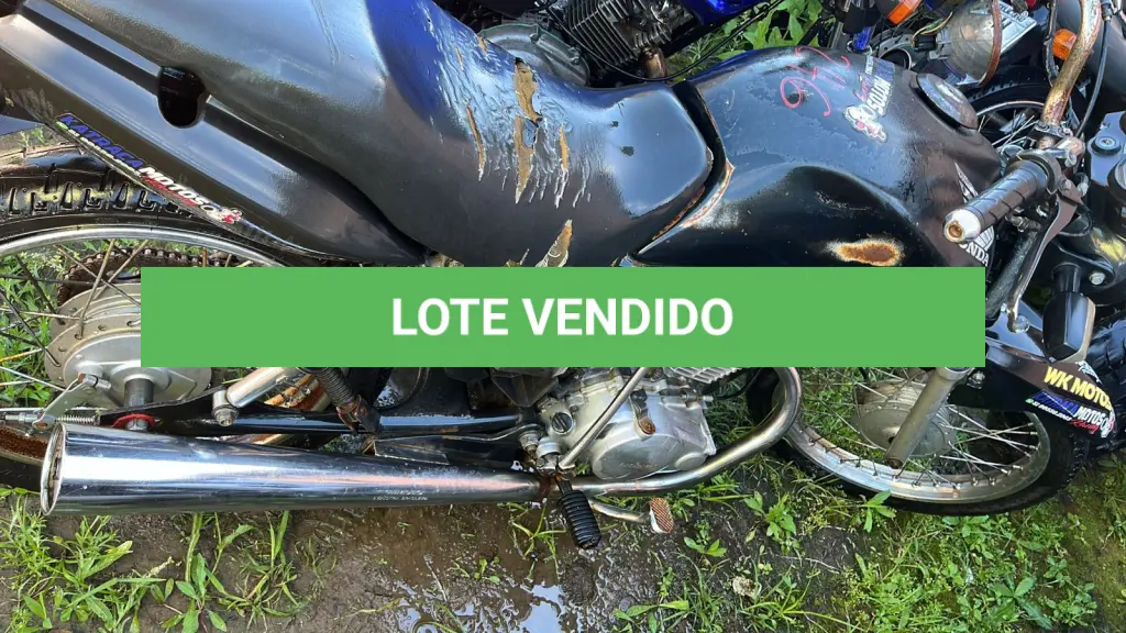 LOTE 0246