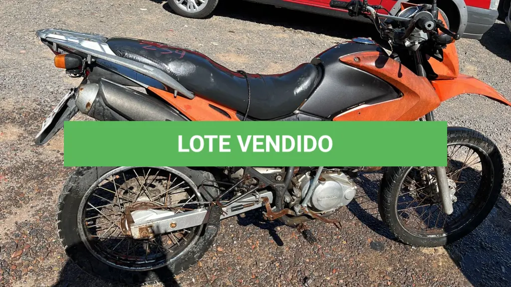 LOTE 0234