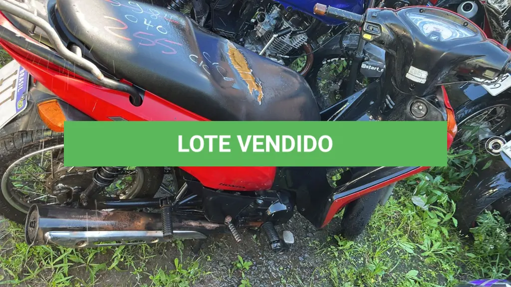 LOTE 0255