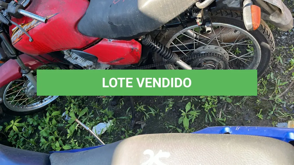 LOTE 0248