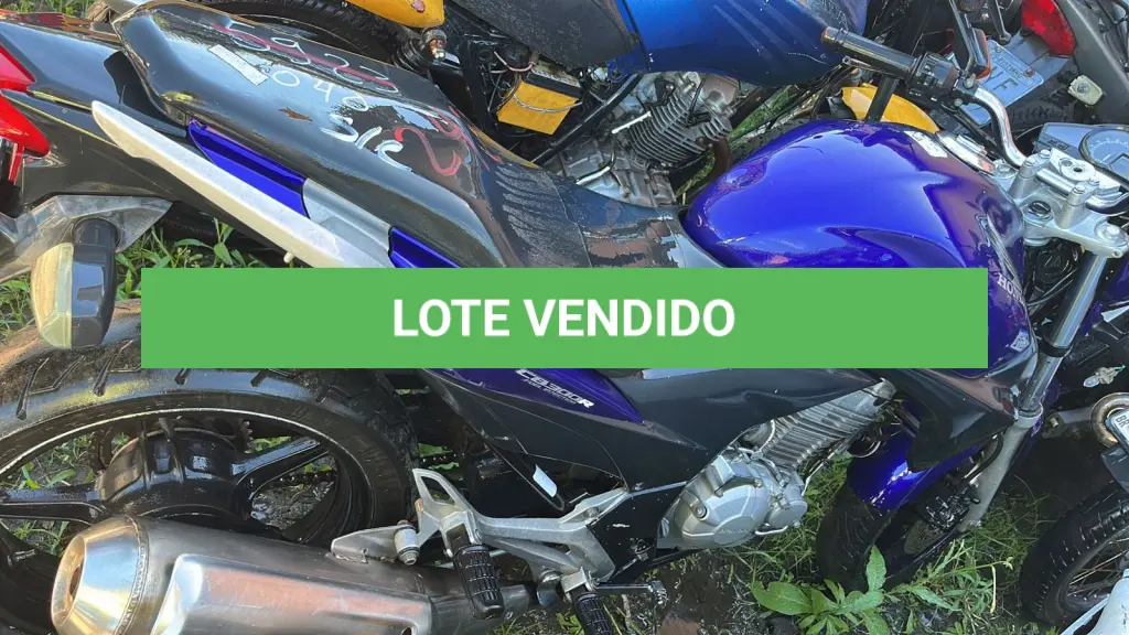 LOTE 0242