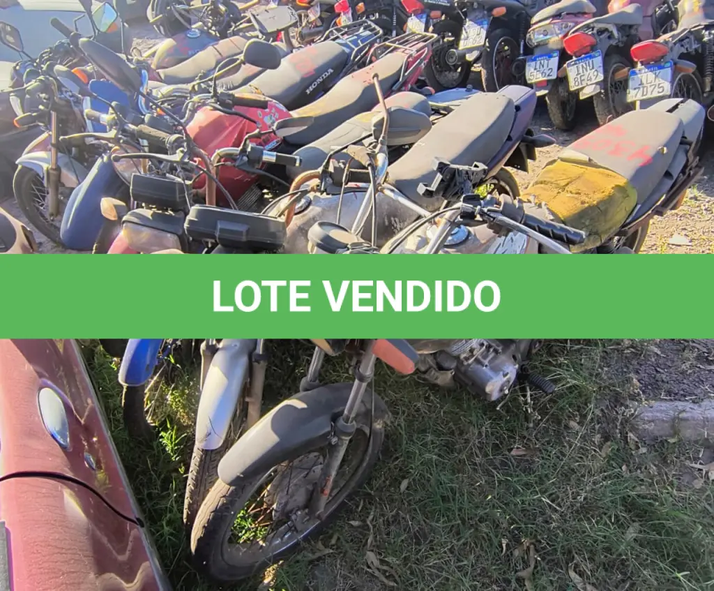 LOTE 0131