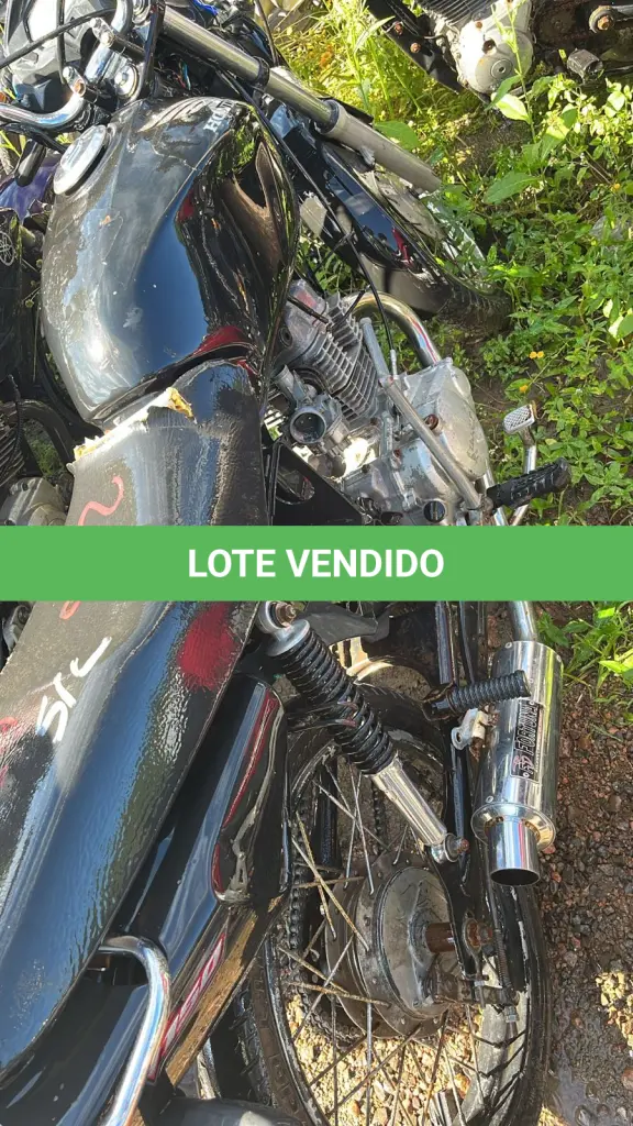 LOTE 0266
