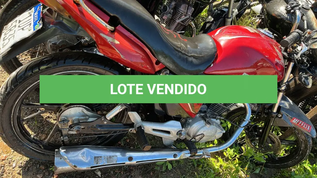 LOTE 0263