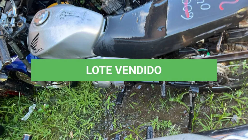 LOTE 0260
