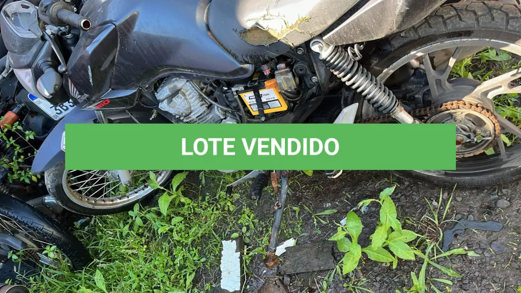 LOTE 0247