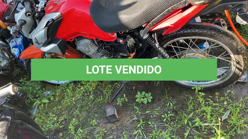 LOTE 0245