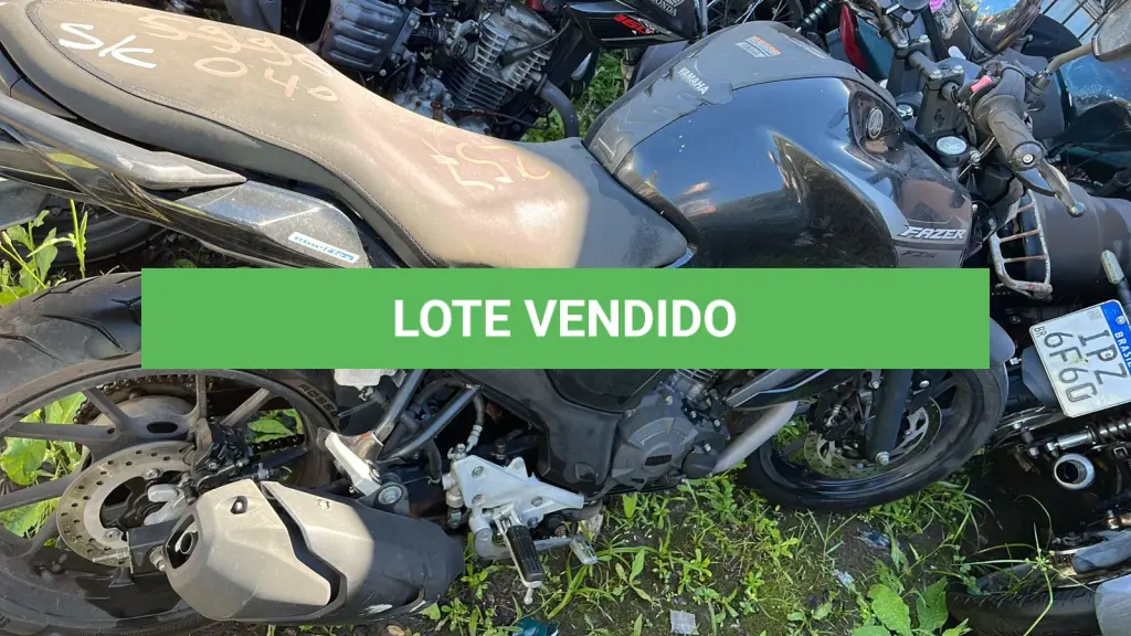 LOTE 0257