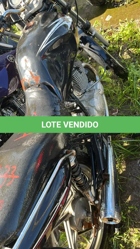 LOTE 0244