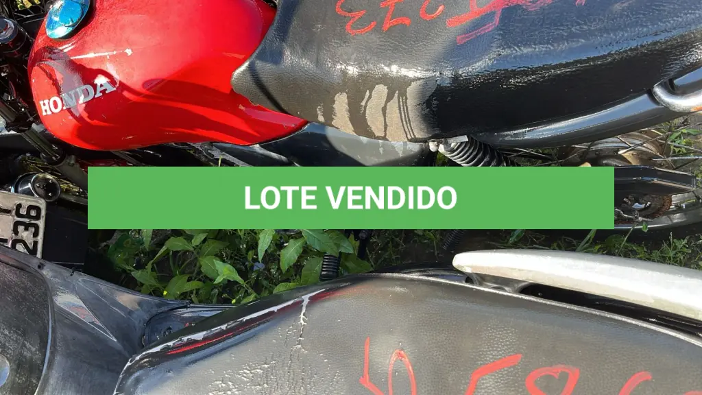 LOTE 0273