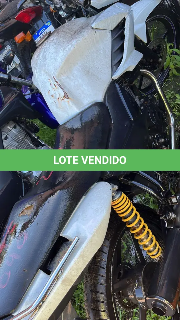 LOTE 0253