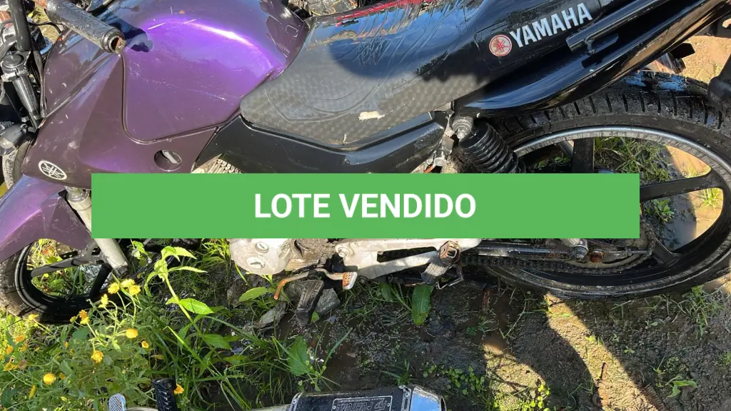 LOTE 0241
