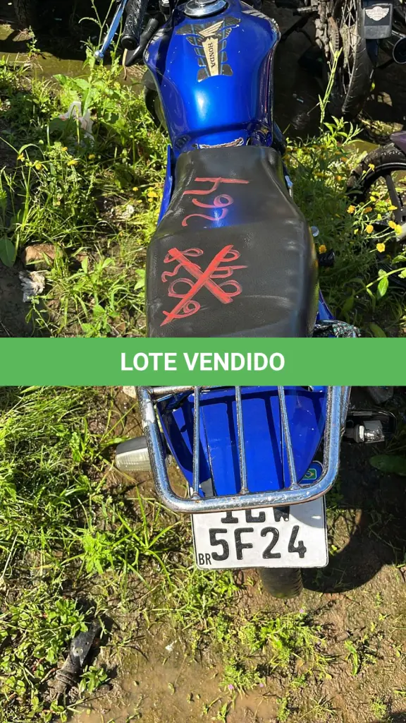 LOTE 0264