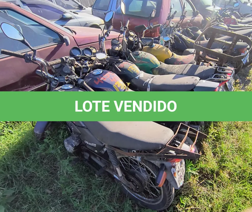 LOTE 0132