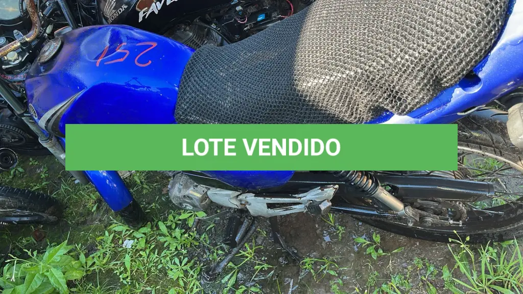 LOTE 0251