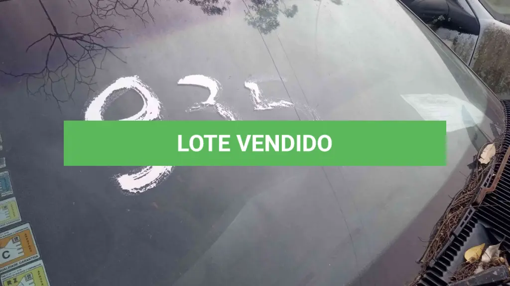 LOTE 0013