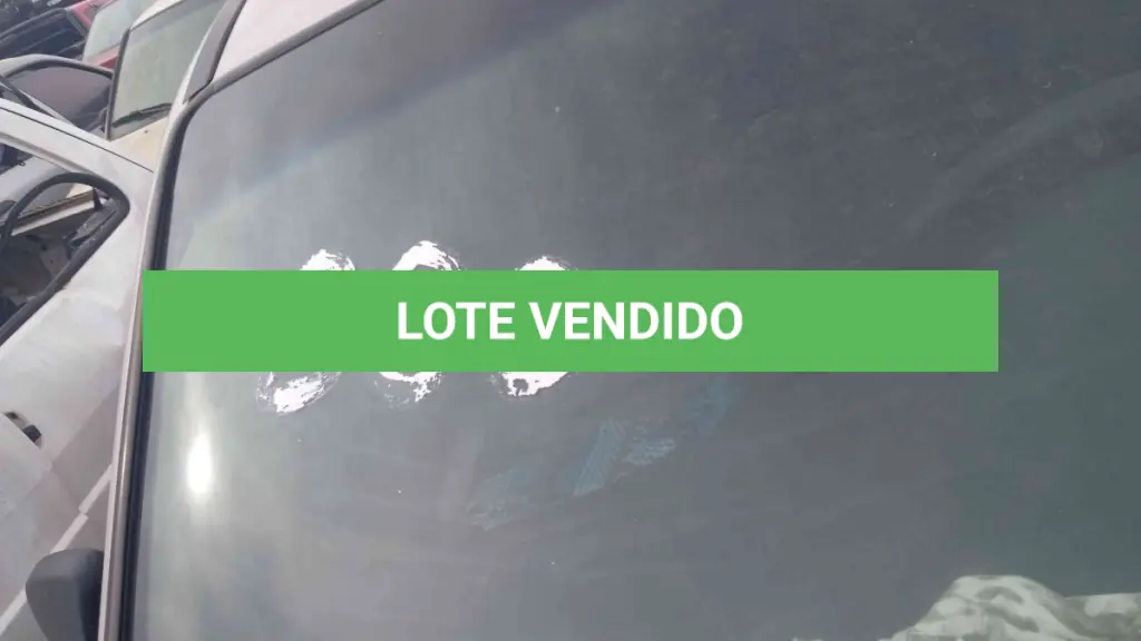 LOTE 0007