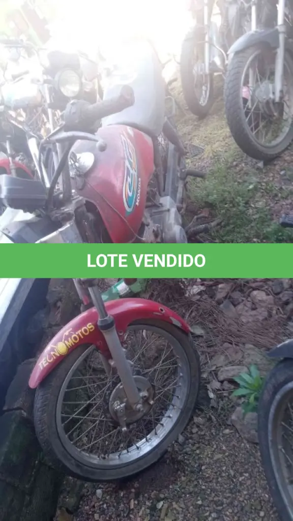 LOTE 0002