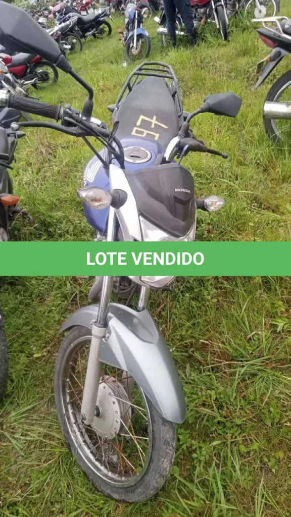 LOTE 0075