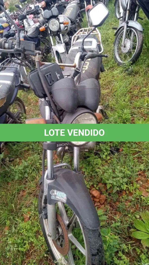LOTE 0081