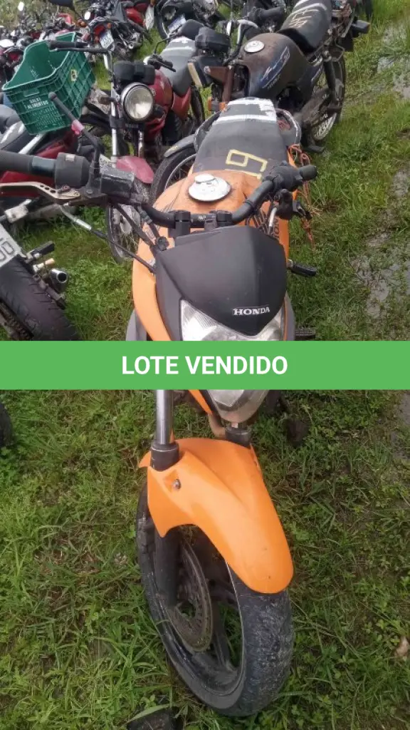 LOTE 0104