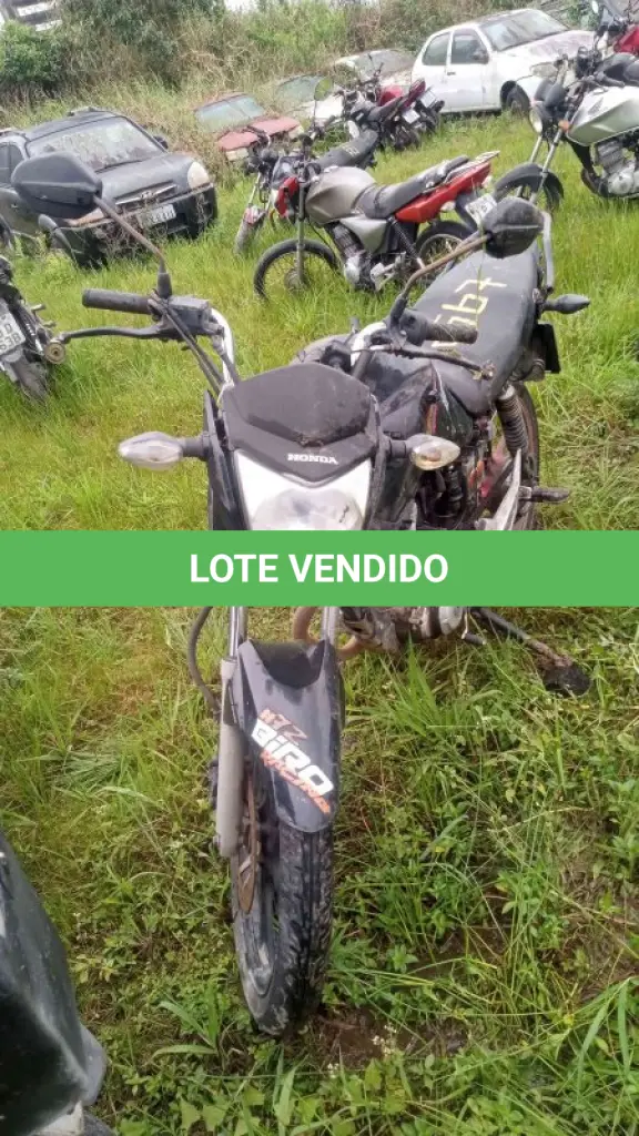 LOTE 0072