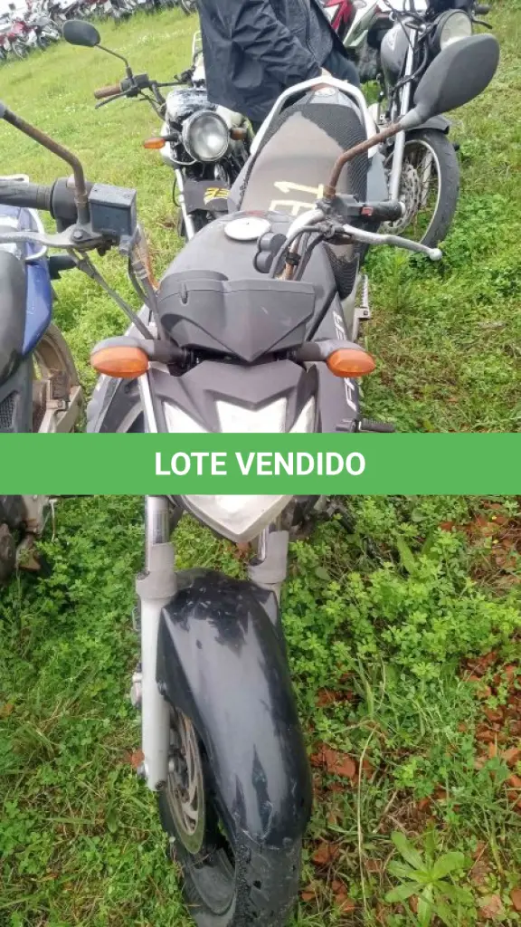 LOTE 0100