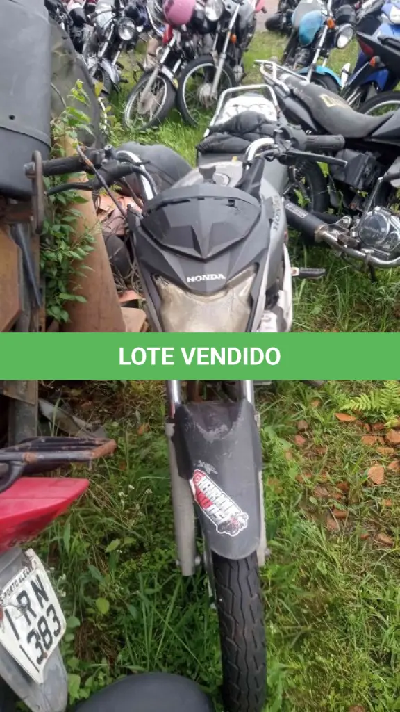 LOTE 0102