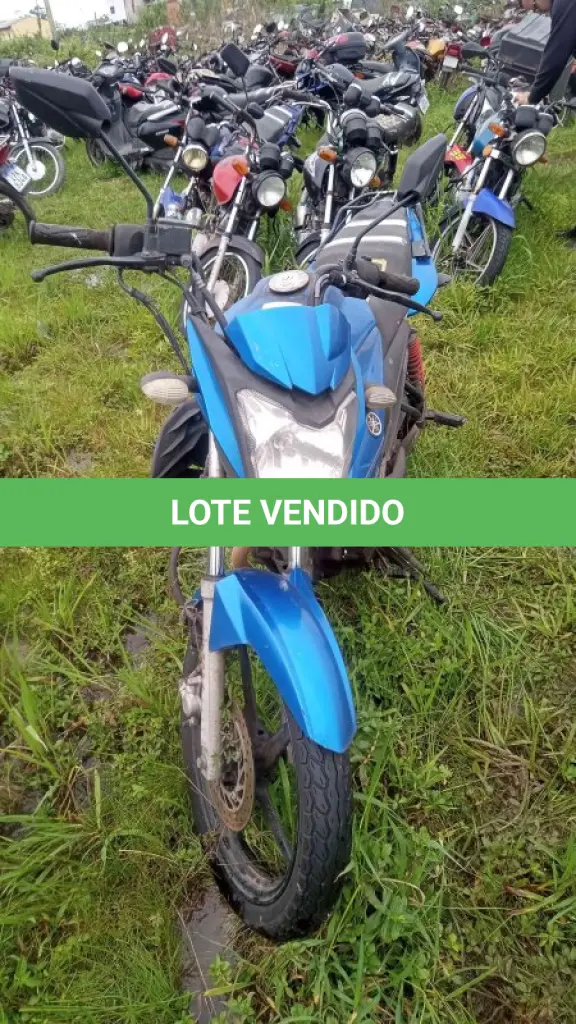 LOTE 0086