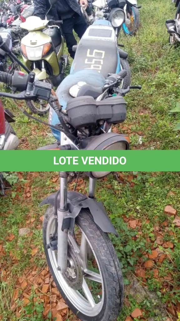 LOTE 0085