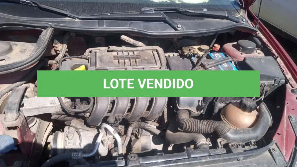 LOTE 0061