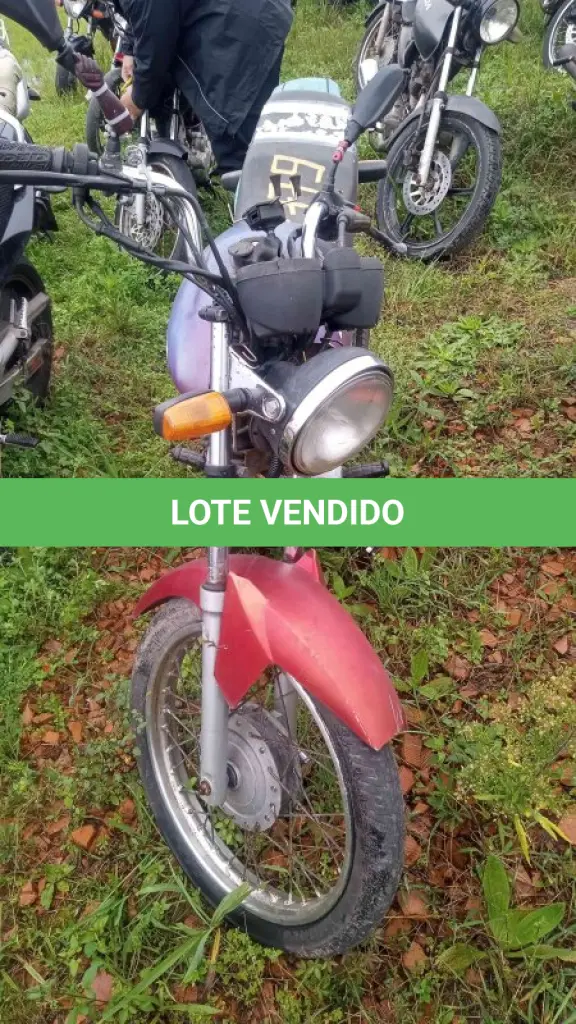 LOTE 0107
