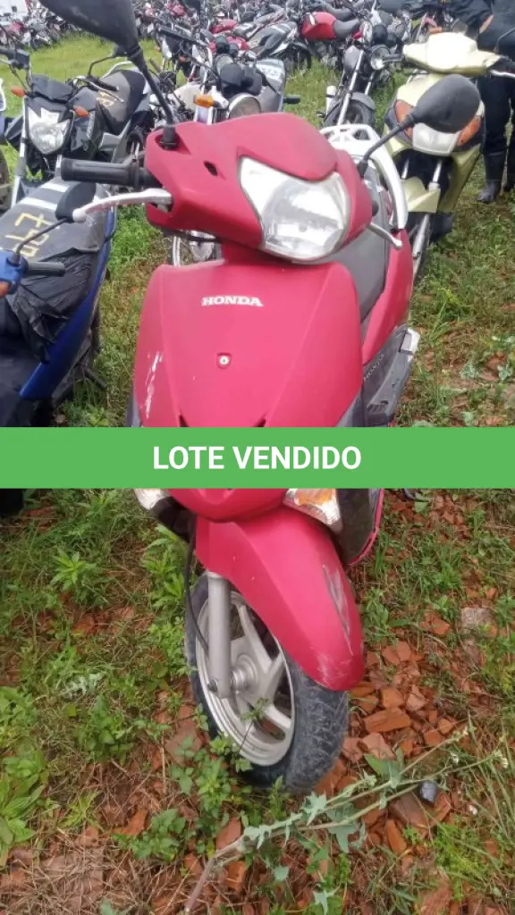 LOTE 0089