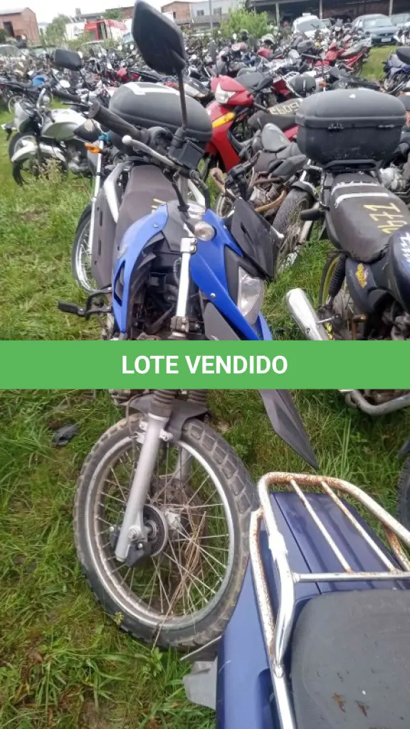 LOTE 0076