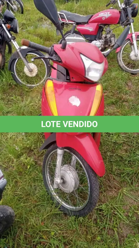 LOTE 0078