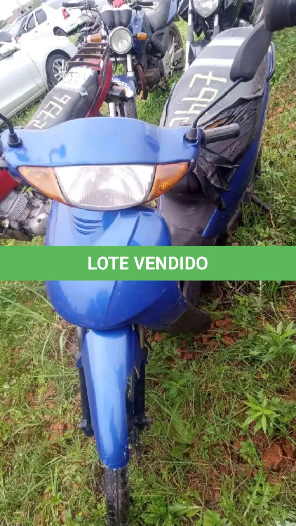 LOTE 0090