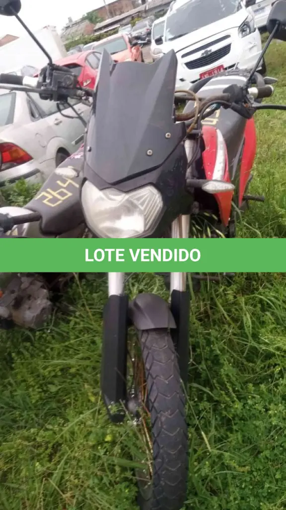 LOTE 0095