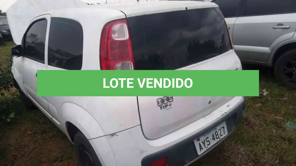LOTE 0125