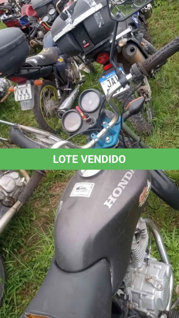 LOTE 0055