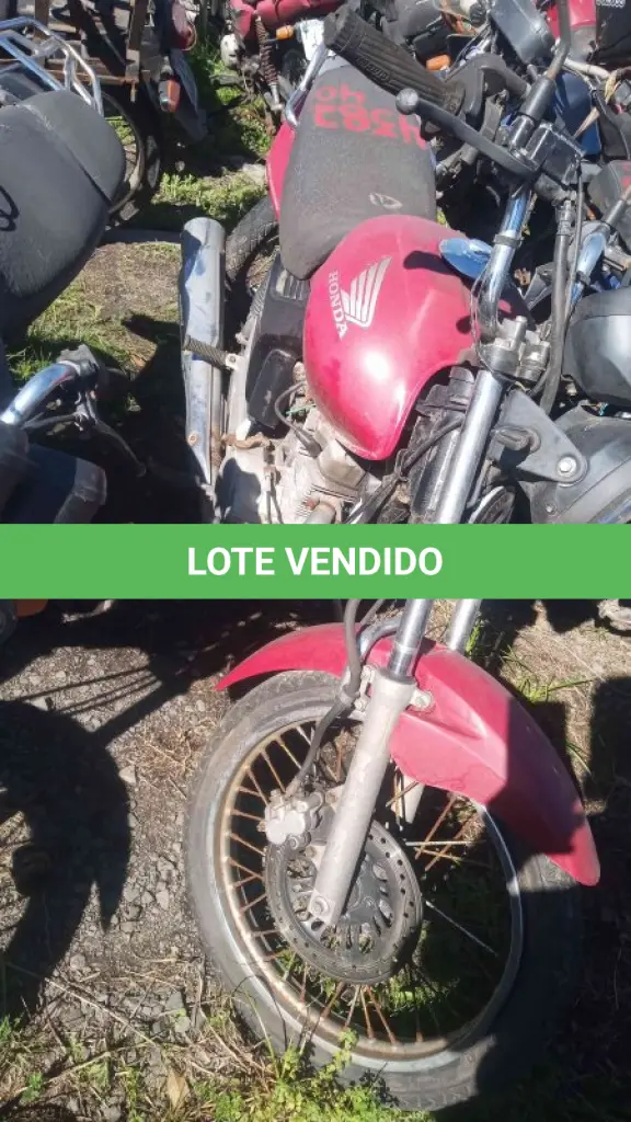 LOTE 0166