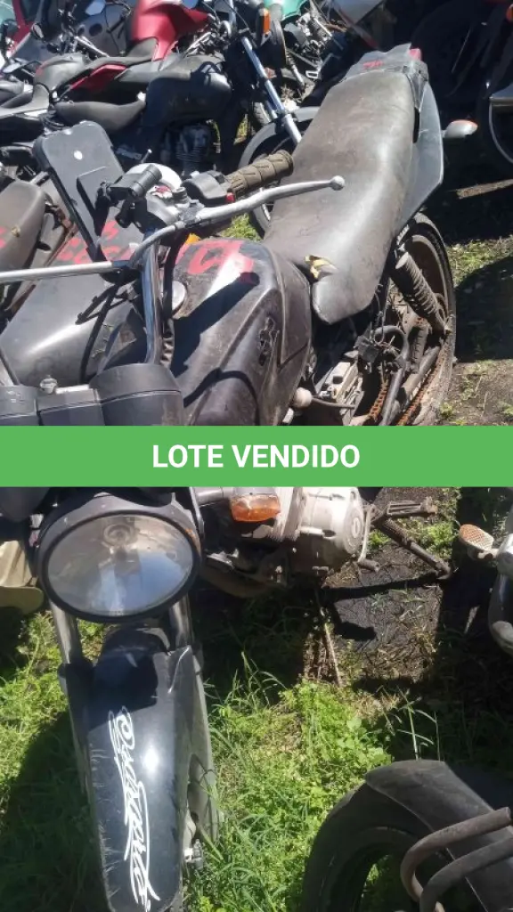 LOTE 0151