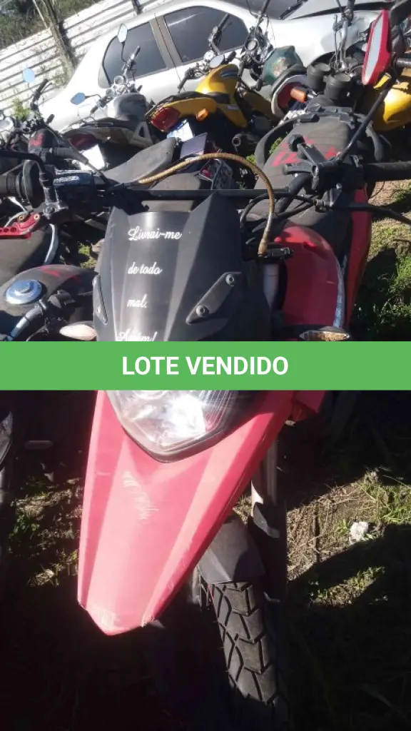 LOTE 0163